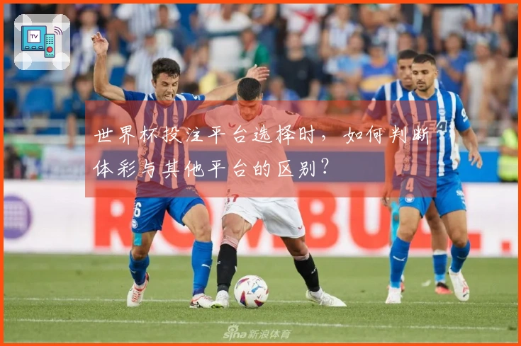 世界杯投注平台选择时，如何判断体彩与其他平台的区别？