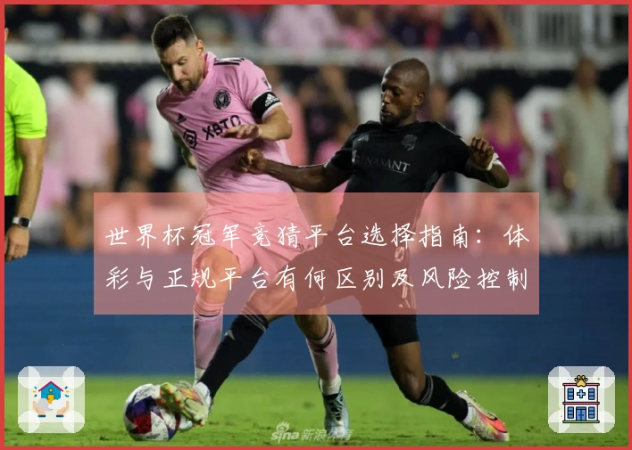 世界杯冠军竞猜平台选择指南：体彩与正规平台有何区别及风险控制技巧