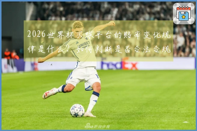 2026世界杯买球平台的赔率变化规律是什么？如何判断是否合法合规？
