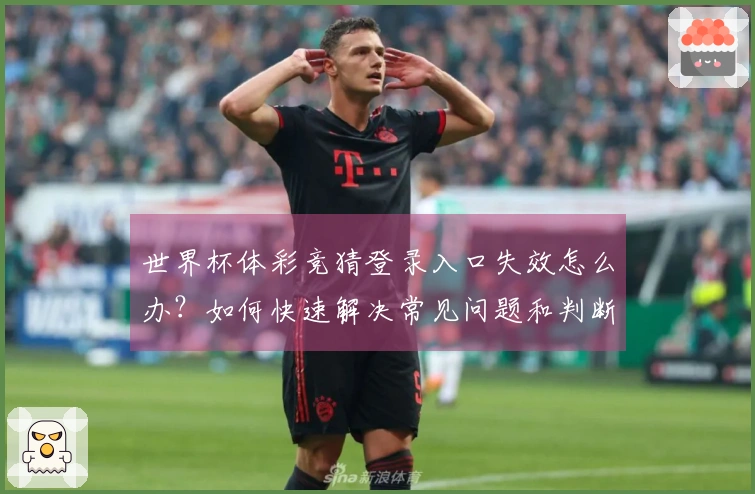 世界杯体彩竞猜登录入口失效怎么办？如何快速解决常见问题和判断平台安全性