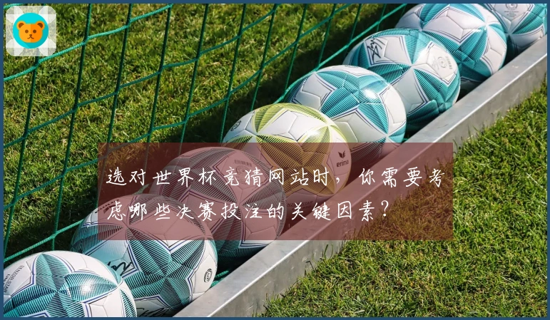 选对世界杯竞猜网站时，你需要考虑哪些决赛投注的关键因素？